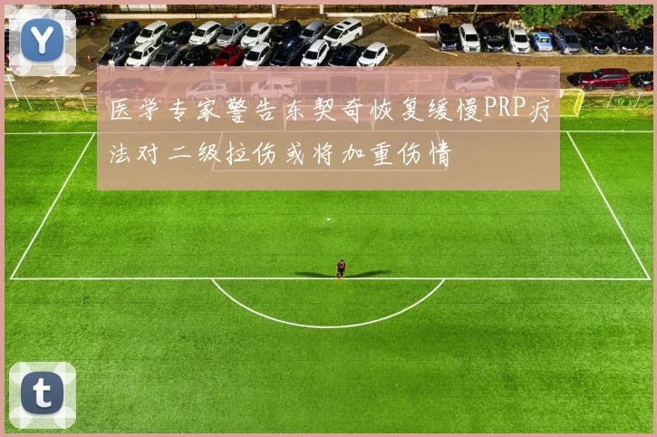 医学专家警告东契奇恢复缓慢PRP疗法对二级拉伤或将加重伤情