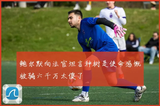 鲍尔默向法官坦言种树是使命感慨被骗六千万太傻了